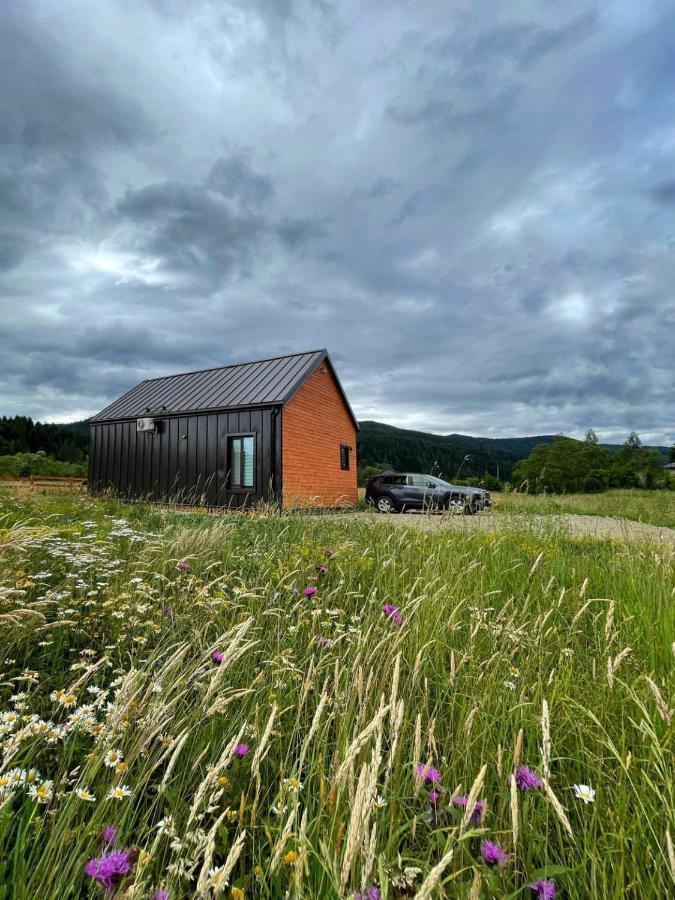 Barn S&S House Vila Mykulychyn Exterior foto